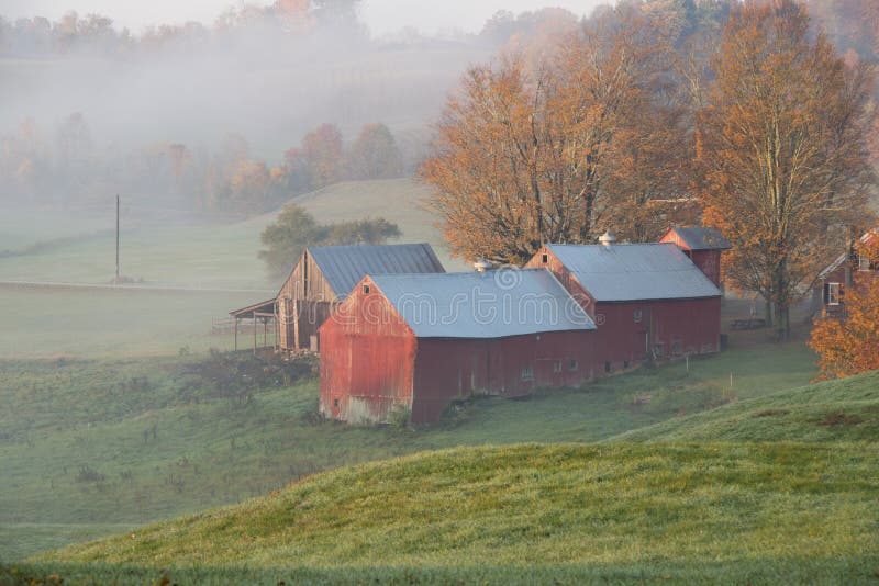 Jenne Farm in Sunrise