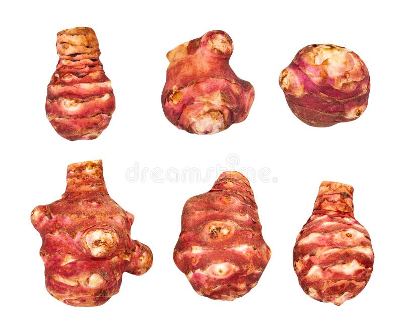 Jerusalem artichoke stock photo. Image of root, healthy 153579748