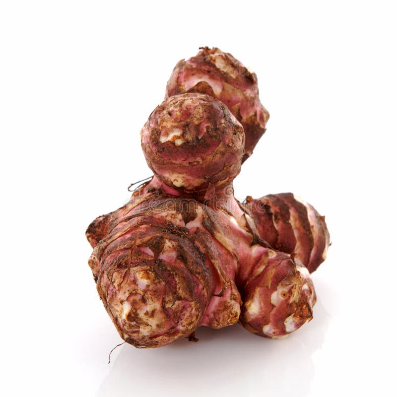 Jerusalem Artichoke Vegetable Stock Photo Image of sunroot, artichoke