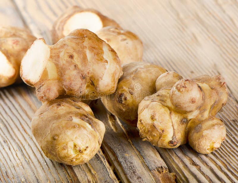 Japanese Crosne Stachys Affinis Tubers Stock Photo Image of tubers