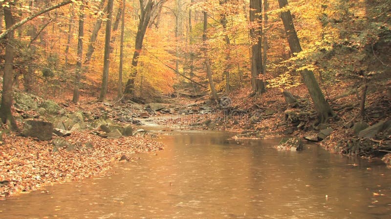 Jesieni sceny deszcz