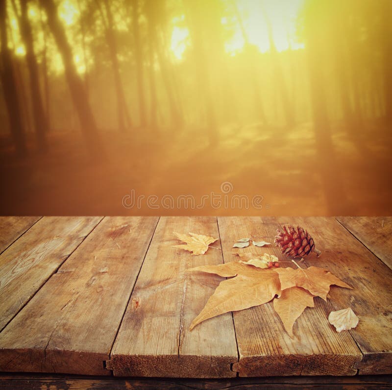 Autumn background of fallen leaves over wooden table and forest backgrond with lens flare and sunset. Autumn background of fallen leaves over wooden table and forest backgrond with lens flare and sunset.
