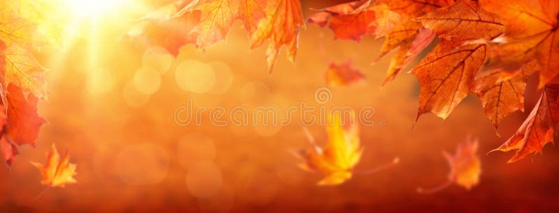 Jesienią abstrakcyjne tło fotografia royalty free