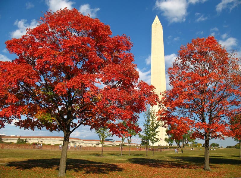 Jesienią Washington d. c
