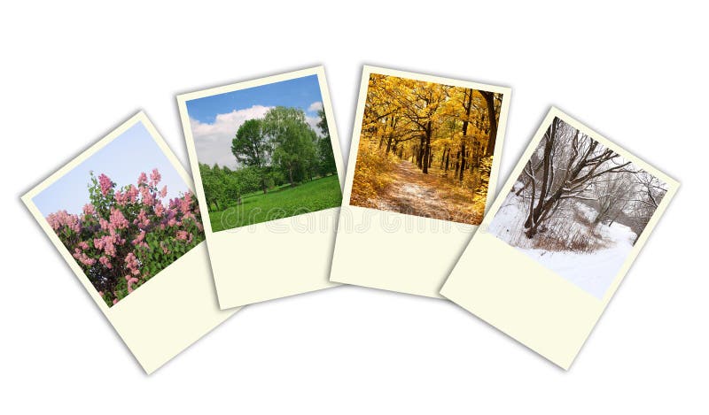 Four seasons spring, summer, autumn, winter trees photo frames collage. Four seasons spring, summer, autumn, winter trees photo frames collage