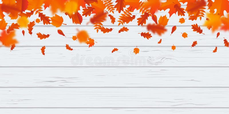 Jesień liścia spadku ulistnienia wzoru autumanl spada liście na wektorowym drewnianym tle royalty ilustracja Jesień liścia spadku ulistnienia wzoru autumanl spada liście na wektorowym drewnianym tle royalty ilustracja