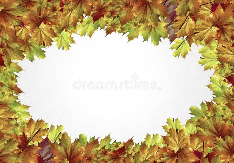 Jesień liście obrazy royalty free Jesień liście obrazy royalty free