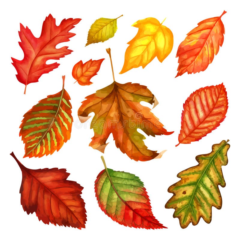 Jesień liście akwarela na białym tle również zwrócić corel ilustracji wektora