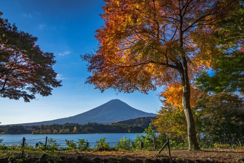 Jesień liście i Fuji obraz stock Jesień liście i Fuji obraz stock