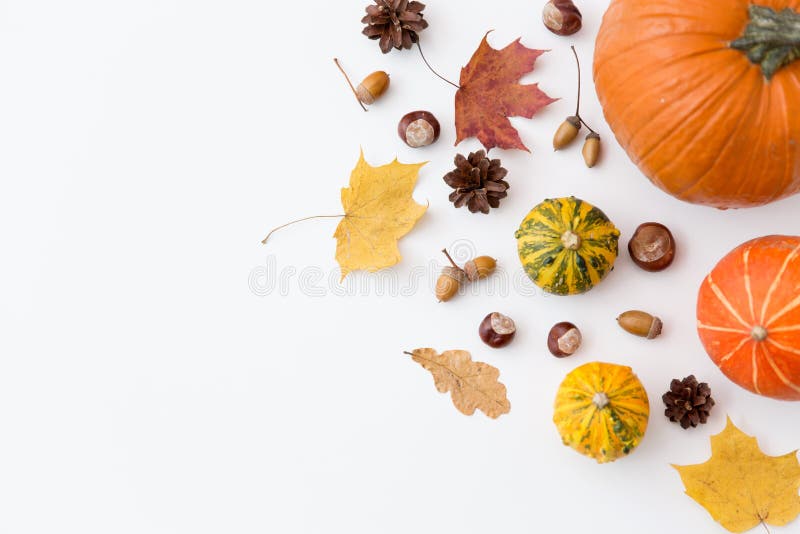 Jesień liście, kasztany, acorns i banie fotografia royalty free