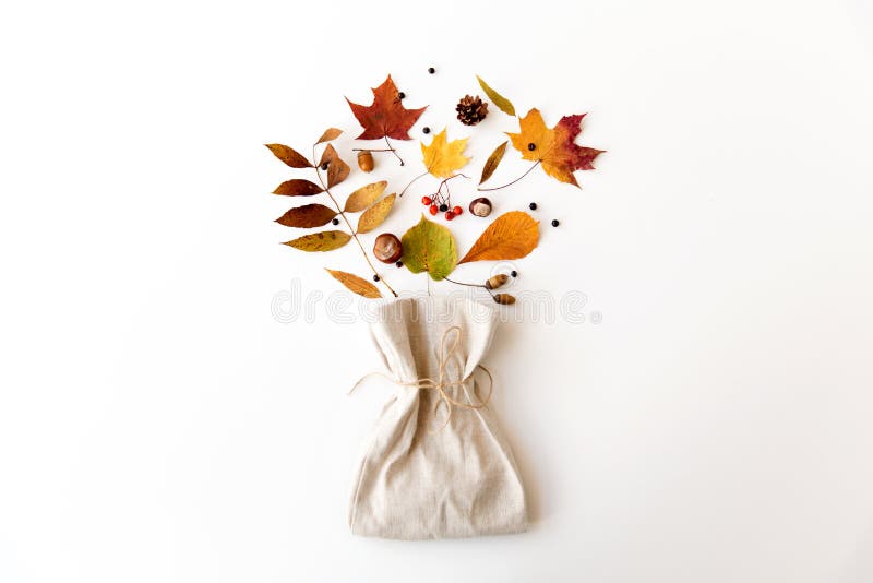 Jesień liście, kasztany, acorns, jagody i torba zdjęcia royalty free
