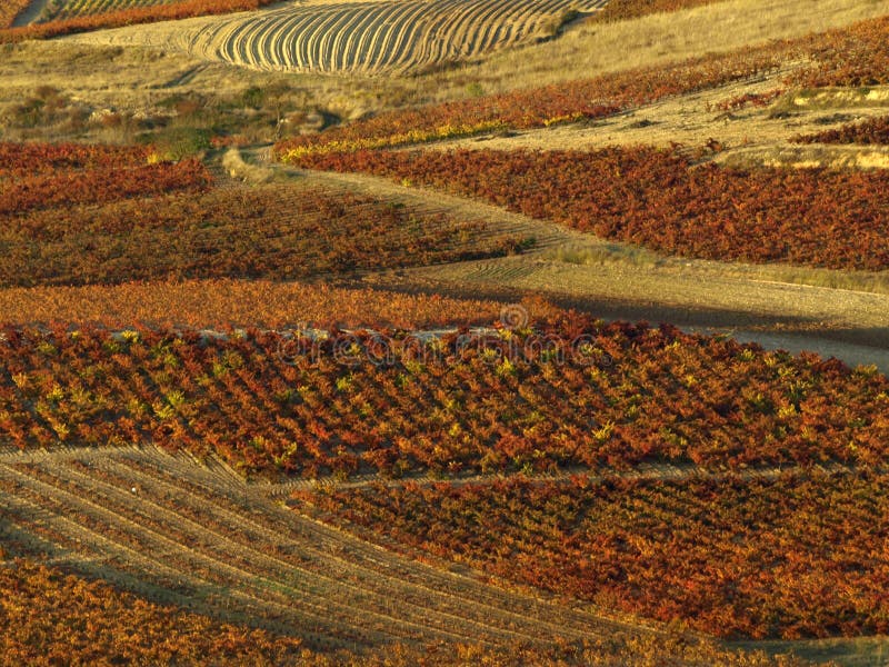 jesień losu angeles rioja obraz stock jesień losu angeles rioja obraz stock