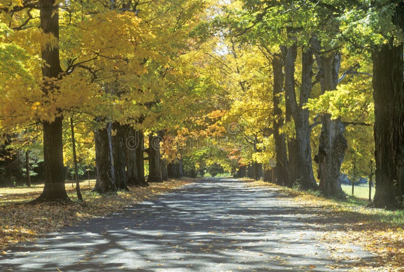 Jesień widok Robbins rezydenci ziemskiej droga w Annandale, NY