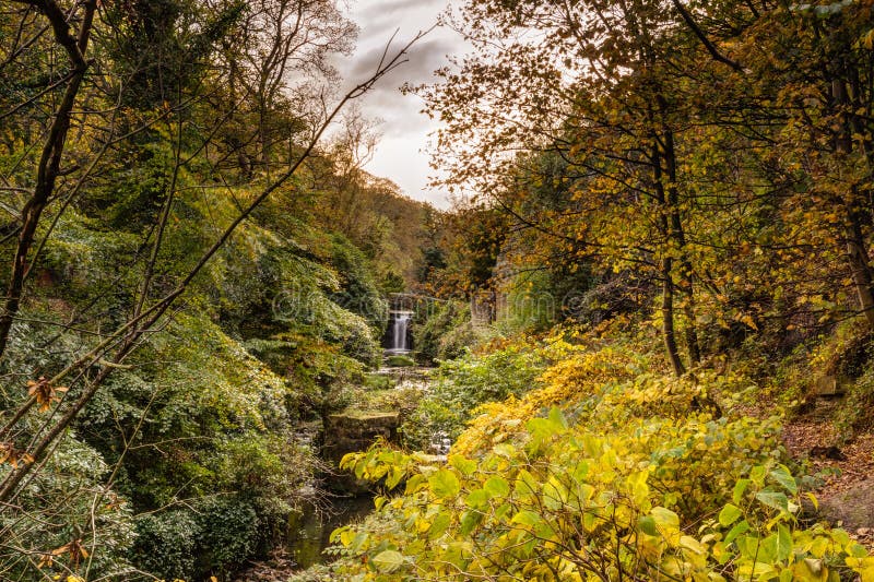 Jesmond Dene in autumn