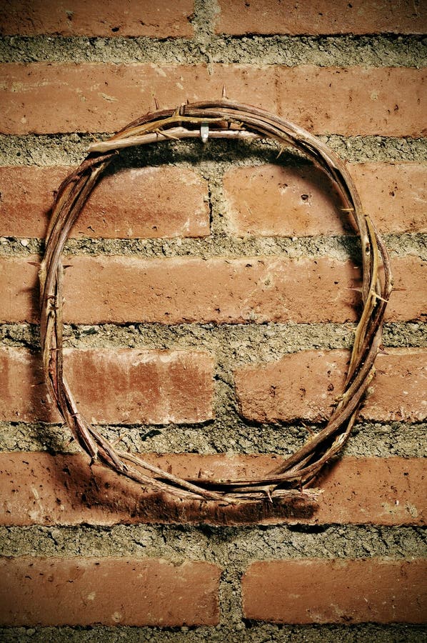 Why Did Jesus Wear A Crown Of Thorns vrogue.co