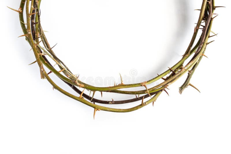 Jesus Christ Crown Thorns på isolerad vit bakgrund royaltyfria bilder Jesus Christ Crown Thorns på isolerad vit bakgrund royaltyfria bilder