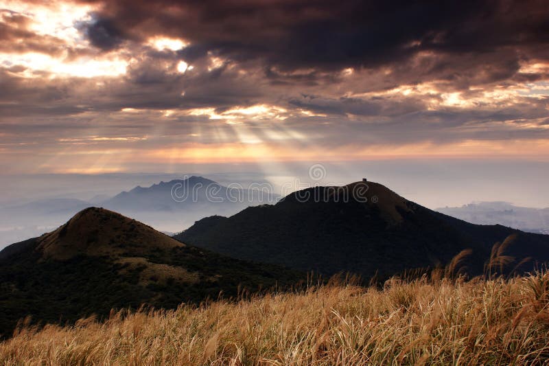 The Jesus light is passing over clouds and shinning on the top of Mt and sea with flowers as foreground.Taipei is my love. The Jesus light is passing over clouds and shinning on the top of Mt and sea with flowers as foreground.Taipei is my love.