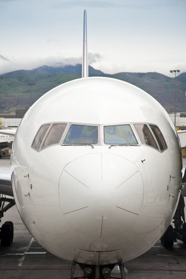 Jet airliner parked at loading gate