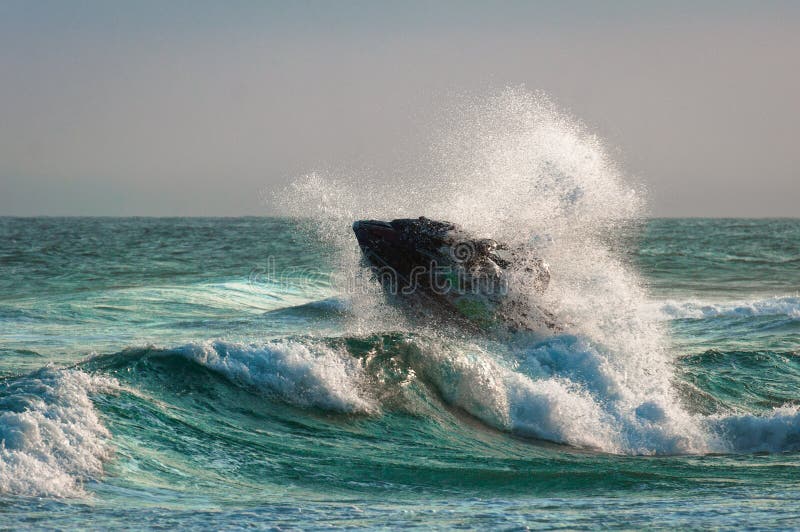 Jet Ski on Waves in the Ocean Stock Image Image of surfer, motion