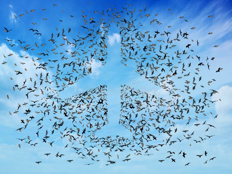 Jet über dem tropischen Meer lizenzfreies stockfoto Jet über dem tropischen Meer lizenzfreies stockfoto