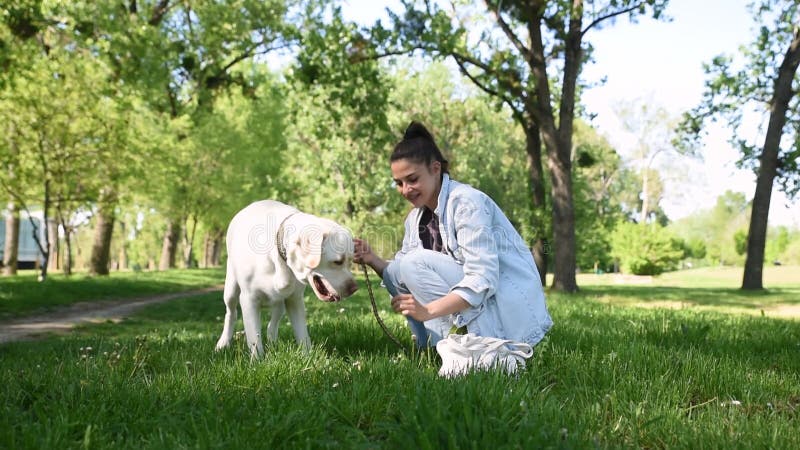 Jeune belle femme avec son chien de compagnie golden labrador extracteur dans le parc s'amuse à souffler du pollen de dandelion da