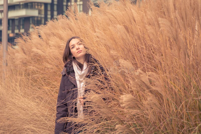 Jeune belle fille posant dans un domaine d'herbe sèche image libre de droits Jeune belle fille posant dans un domaine d'herbe sèche image libre de droits