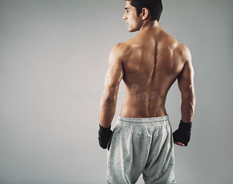 Jeune boxeur masculin musculaire se tenant sur le fond gris photos libres de droits Jeune boxeur masculin musculaire se tenant sur le fond gris photos libres de droits