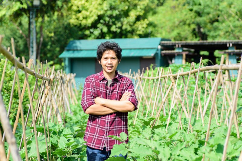 Jeune exploitant agricole asiatique se tenant dans le potager photos stock Jeune exploitant agricole asiatique se tenant dans le potager photos stock