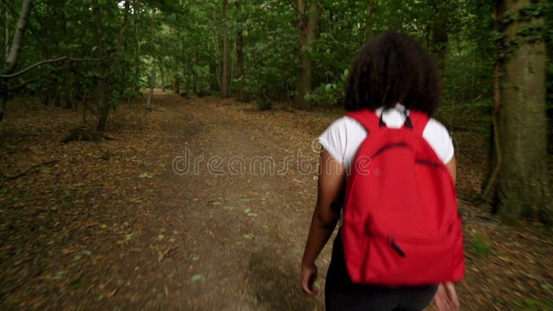 Jeune femme ado métis de fille afro-américaine trimardant avec le sac à dos rouge dans la région boisée de forêt clips vidéos