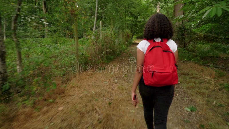Jeune femme ado métis de fille afro-américaine trimardant avec le sac à dos rouge dans la région boisée de forêt clips vidéos