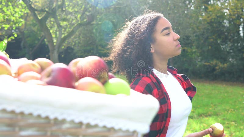 Jeune femme d'adolescente mangeant une pomme par un panier des pommes sélectionnées dans un verger ensoleillé banque de vidéos