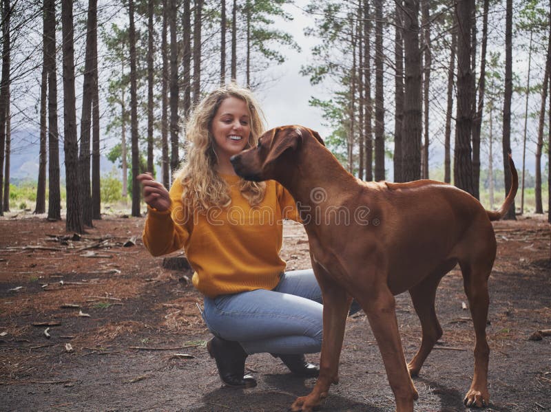 Jeune femme de sourire jouant avec son chien dans la forêt images libres de droits Jeune femme de sourire jouant avec son chien dans la forêt images libres de droits