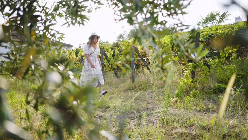 Jeune femme entre le champ des ceps de vigne avec des raisins