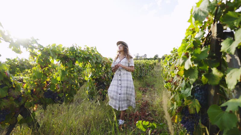 Jeune femme entre le champ des ceps de vigne avec des raisins