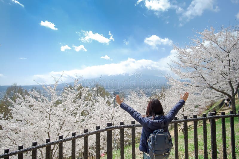 Jeune femme heureuse voyageant avec beaux Cherry Blossom et mont Fuji roses au secteur de temple rouge de pagoda de Chureito Prin photos stock Jeune femme heureuse voyageant avec beaux Cherry Blossom et mont Fuji roses au secteur de temple rouge de pagoda de Chureito Prin photos stock