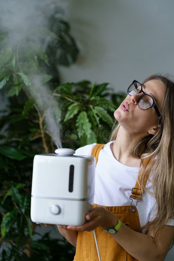 Soins Aux Usines : Utilisation De L'humidificateur D'air à La Maison Pour  Maintenir L'humidité Et Le Concept De Santé Des Plantes Image stock - Image  du dispositif, frais: 230287147