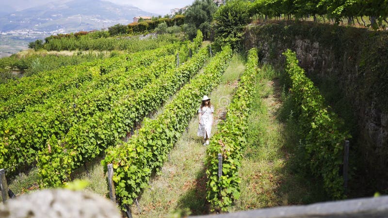 Jeune femme marchant entre les rangées du vignoble