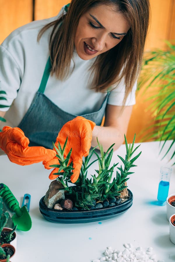 Femme Fertilisant Des Plantes Sur La Table à La Maison