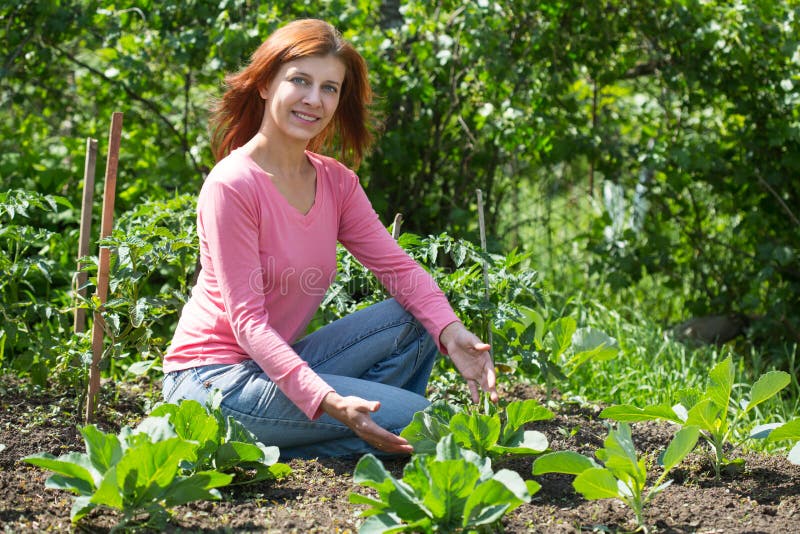 Jeune femme sarclant les lits avec le chou de pousses dans le jardin image stock Jeune femme sarclant les lits avec le chou de pousses dans le jardin image stock