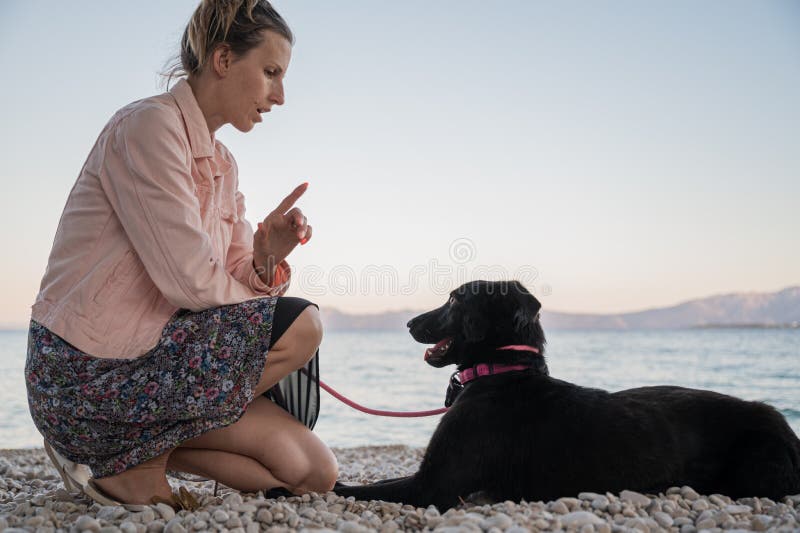 Jeune femme se mettre à genoux pour donner l'instruction à son chien noir berger image stock
