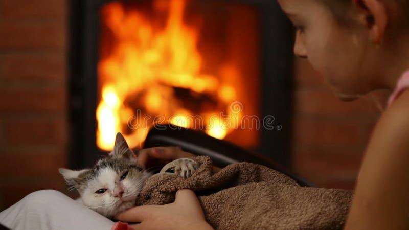 Jeune fille avec le chaton de délivrance à la cheminée banque de vidéos