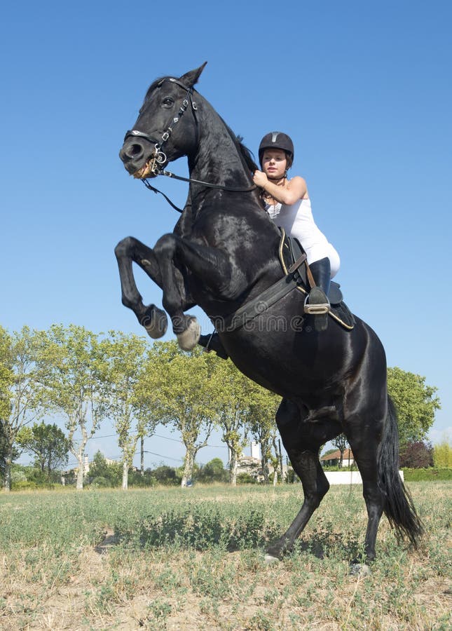 Jeune fille et cheval noir photo stock. Image du équin - 21996146