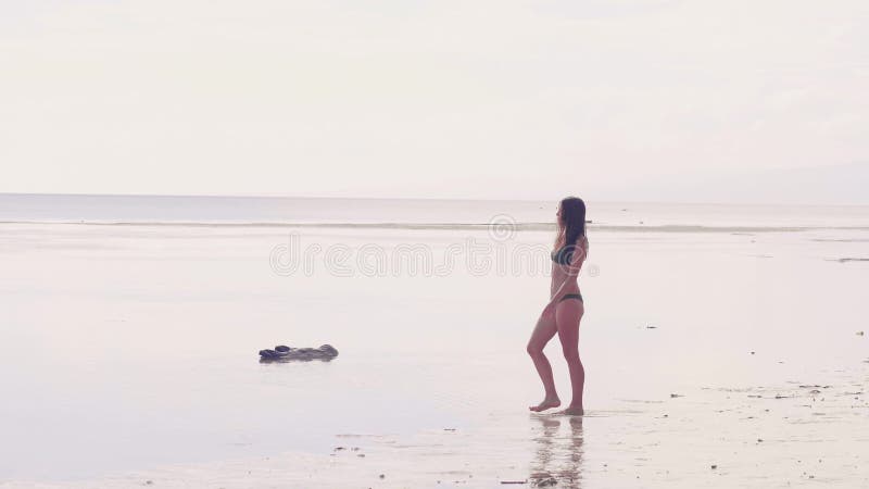 Jeune fille dans le maillot de bain marchant sur la plage d'été sur le paysage vert de palmier Femme d'été dans le bikini sur la banque de vidéos