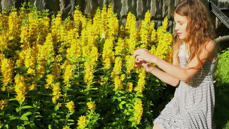 Jeune fille en robe d'été touchez des fleurs jaunes à banque de vidéos