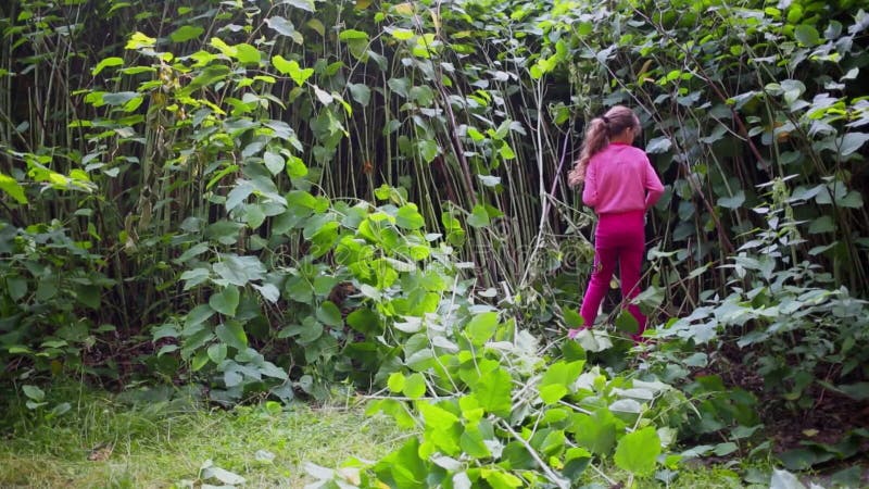 Jeune fille en vêtements roses utilise un couteau pour couper vert banque de vidéos