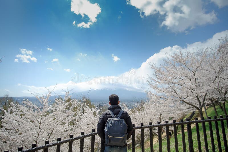 Jeune homme heureux voyageant avec beaux Cherry Blossom et mont Fuji roses au secteur de temple rouge de pagoda de Chureito Print images stock Jeune homme heureux voyageant avec beaux Cherry Blossom et mont Fuji roses au secteur de temple rouge de pagoda de Chureito Print images stock