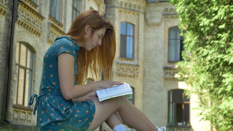 Jeune livre de lecture concentré d'étudiante de gingembre et séance en parc près du bâtiment d'université, jour ensoleillé dehors clips vidéos