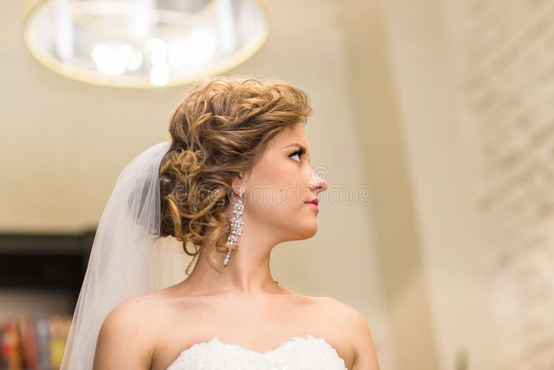 Download Jeune Mariée Magnifique Dans La Robe De Mariage Avec Des Bijoux De Diamant Image stock - Image du languettes, luxe: 77156891