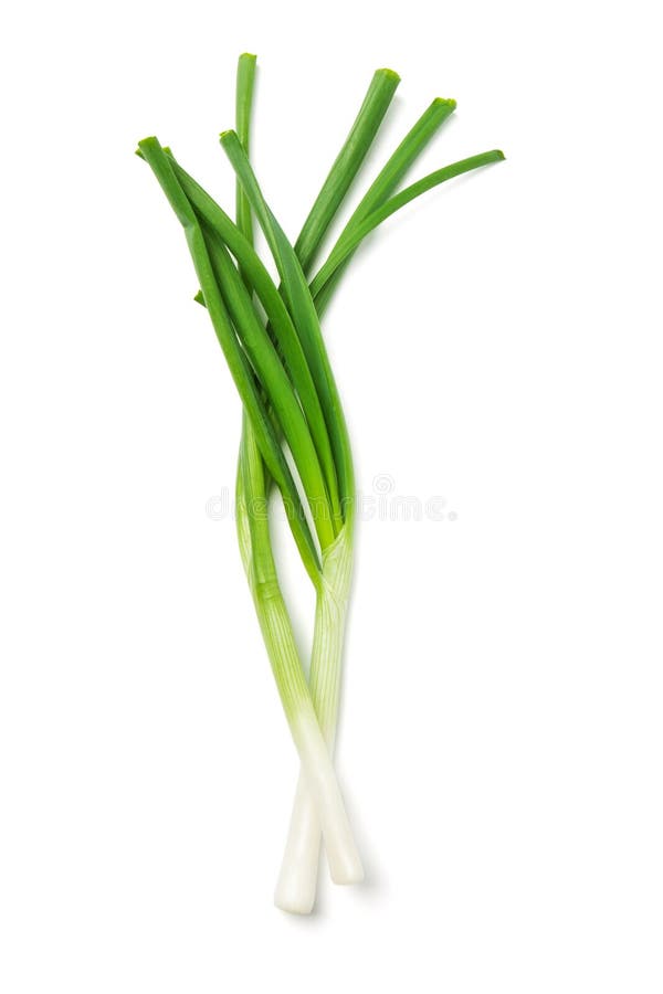 Spring onion isolated on white. Spring onion isolated on white