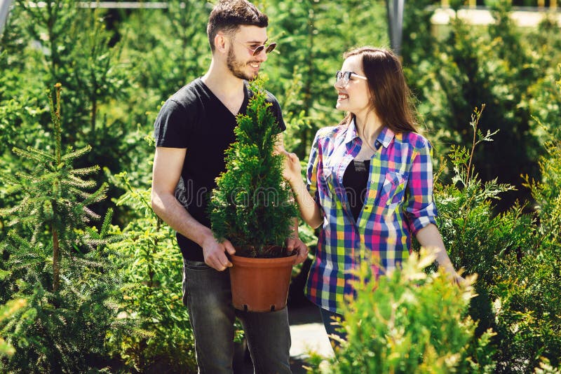 Jeune position de couples ensemble, tenant un pot avec un petit arbre de sapin et regardant une usine à la jardinerie photographie stock Jeune position de couples ensemble, tenant un pot avec un petit arbre de sapin et regardant une usine à la jardinerie photographie stock